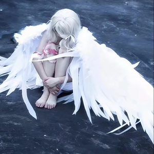 犬父(吃肉的长耳兔)
